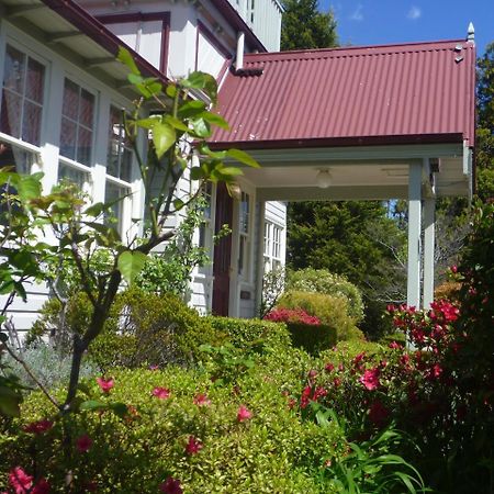 Norwood Mountain Lodge Blackheath Exteriör bild