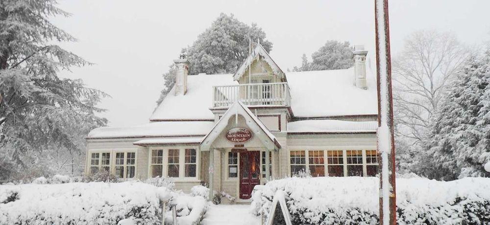 Norwood Mountain Lodge Blackheath Exteriör bild